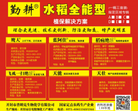全能型