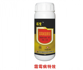 殺菌劑
